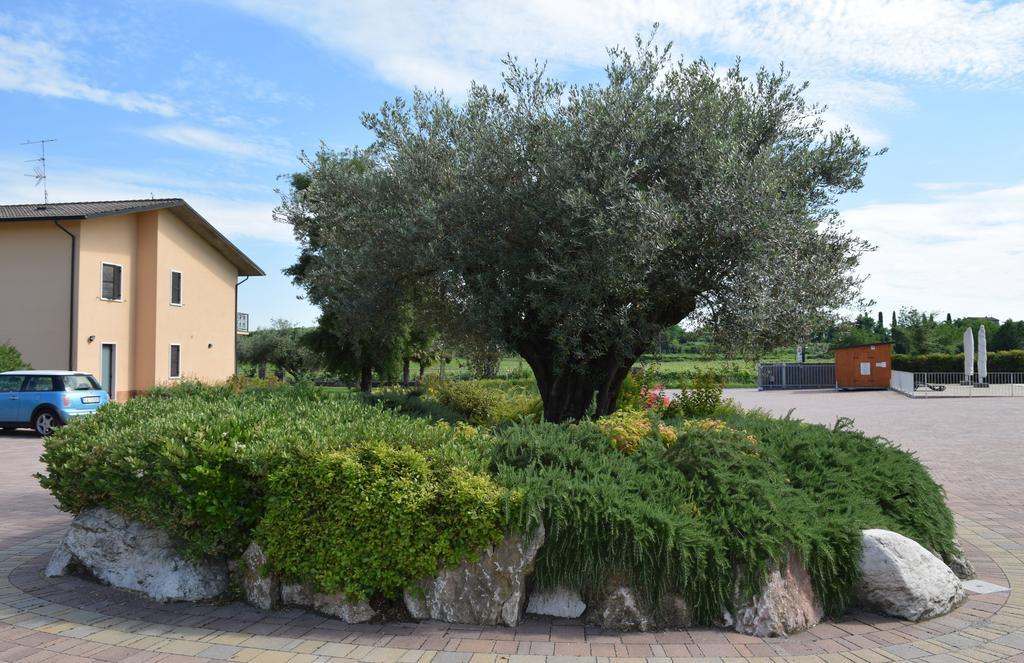 Agriturismo Ca' Del Gal Valeggio sul Mincio Exterior foto