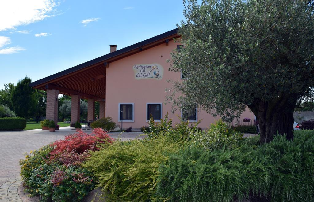 Agriturismo Ca' Del Gal Valeggio sul Mincio Exterior foto