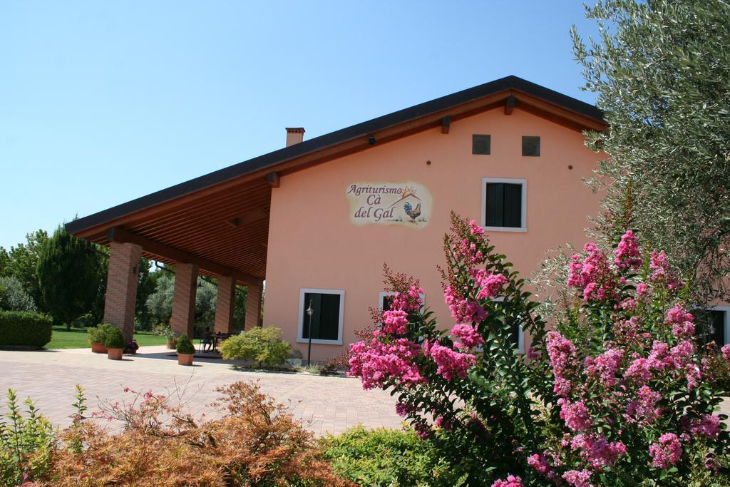 Agriturismo Ca' Del Gal Valeggio sul Mincio Exterior foto